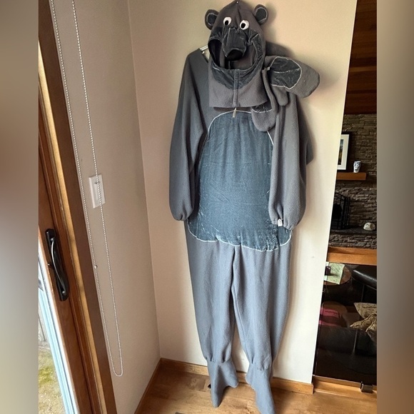 Adult Size Baloo Costume from Jungle Book - Picture 1 of 8